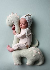 Newborn Dream