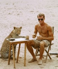 Vintage Safari