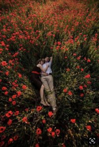 Poppy Embrace