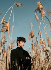 Golden Reeds