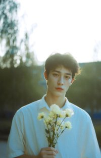 Golden Dream